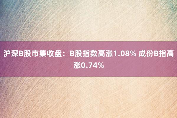 沪深B股市集收盘：B股指数高涨1.08% 成份B指高涨0.74%